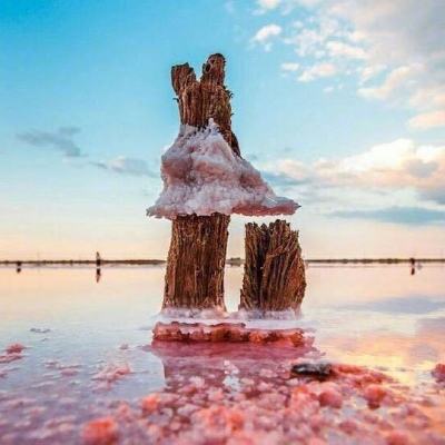 星空下载下载手机版