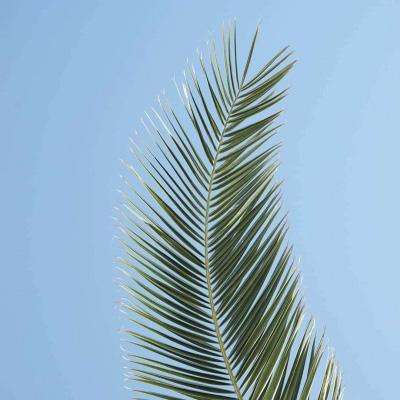 新澳门六开彩资料大全app下载