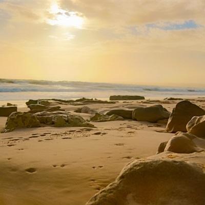 半岛官网入口体育